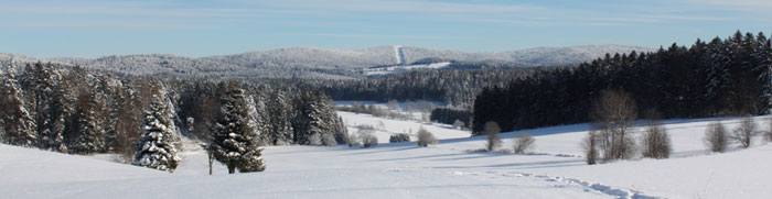 Bayerischer Wald